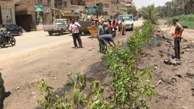 مبادرة ازرع شجرة بالجيزة