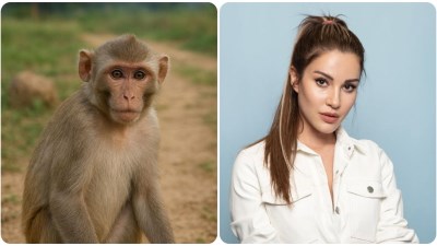  الممثلة التركية إيجي أيرتيم