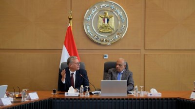 وزيرا الكهرباء والبترول 