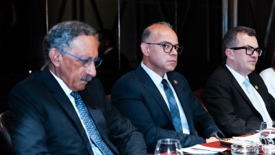 وزير الاستثمار والتجارة الخارجية 