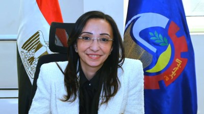 محافظ البحيرة 