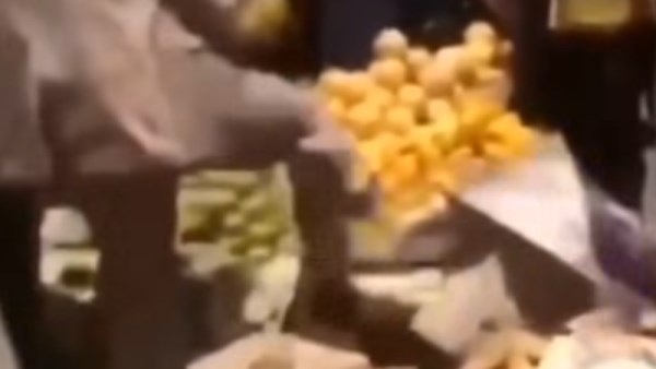 رئيس مدينة طوخ