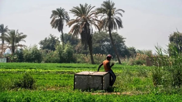 إنهاء أزمة أراضي الأوقاف