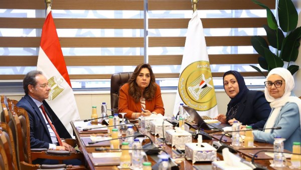 التنمية المحلية
