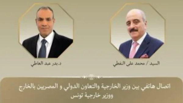 وزير الخارجية المصري ونظيره التونسي