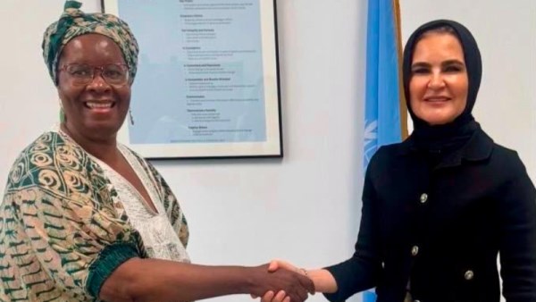 وكيل الشئون المالية بمجلس الشيوخ