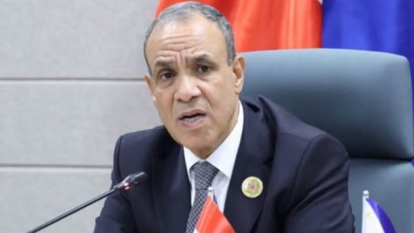 وزير الخارجية يشارك في مائدة مستديرة
