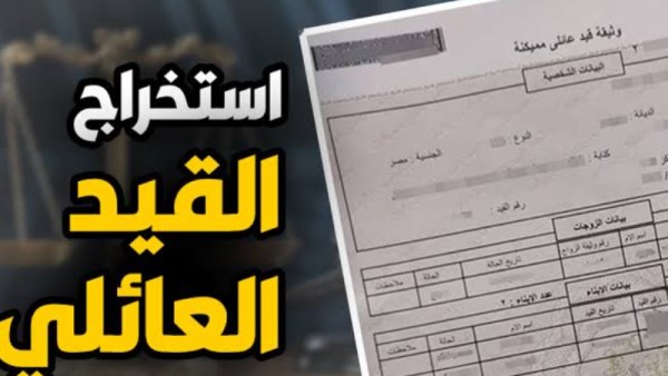 استخراج القيد الفردي