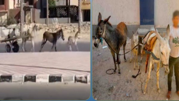 المتهم