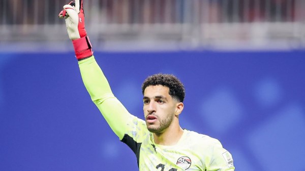 مصطفى شوبير