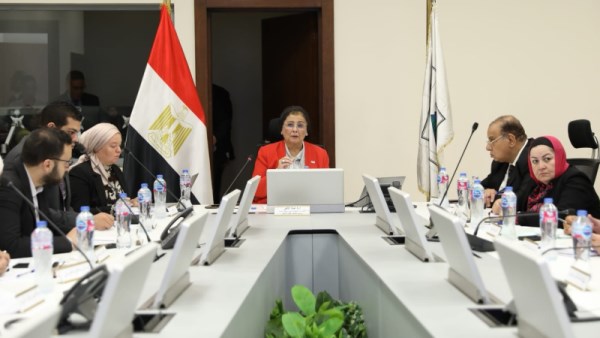 الدكتورة عبلة الألفي نائب وزير الصحة