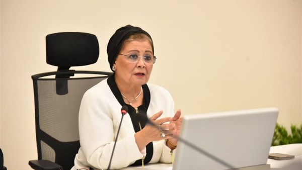 الدكتورة عبلة الألفي نائب وزير الصحة
