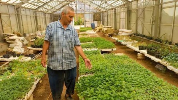 زراعة النباتات الطبية 