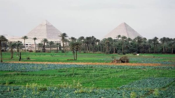 الريف المصري 