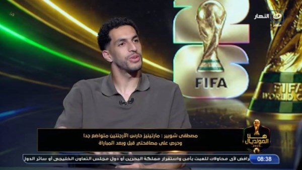 مصطفى شوبير
