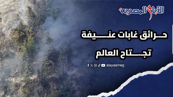 حرائق الغابات 