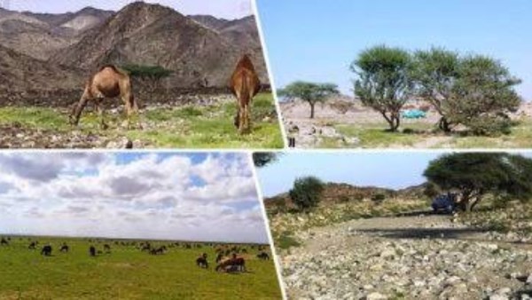 المحميات الطبيعية 