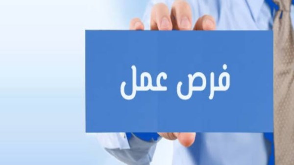 وظائف وزارة العمل 2026 
