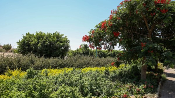 تطوير الطرق والمحاور الرئيسية
