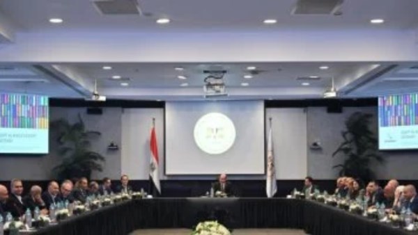 وزير الاستثمار