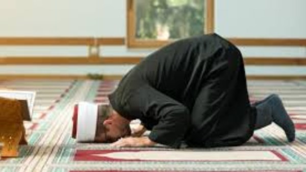 أرشيفية