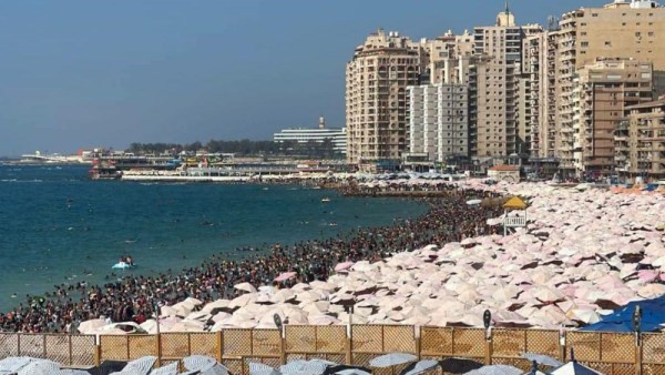 محافظ الاسكندرية