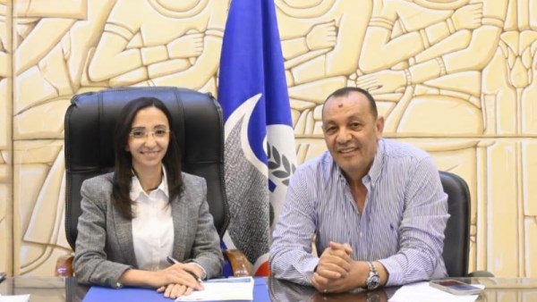 محافظ البحيرة 