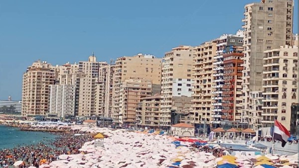 محافظ الاسكندرية
