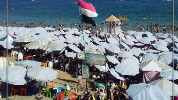 محافظ الاسكندرية
