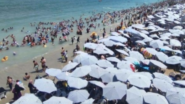 محافظ الاسكندرية