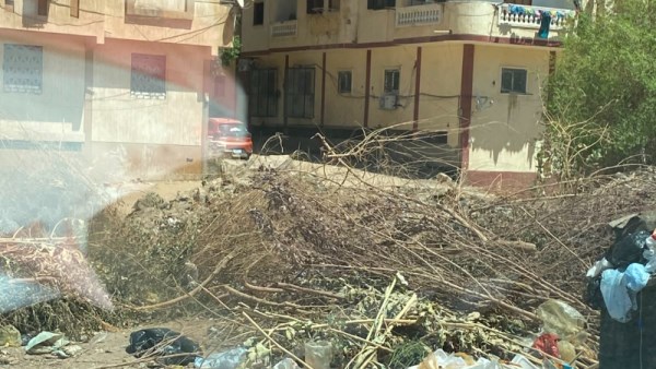 محافظ أسوان 