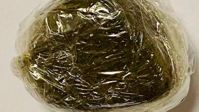 المضبوطات