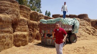 محافظ الدقهلية