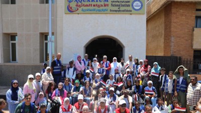 محافظ الوادي الجديد 