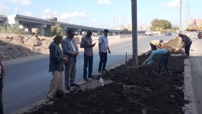 محافظ القليوبية 